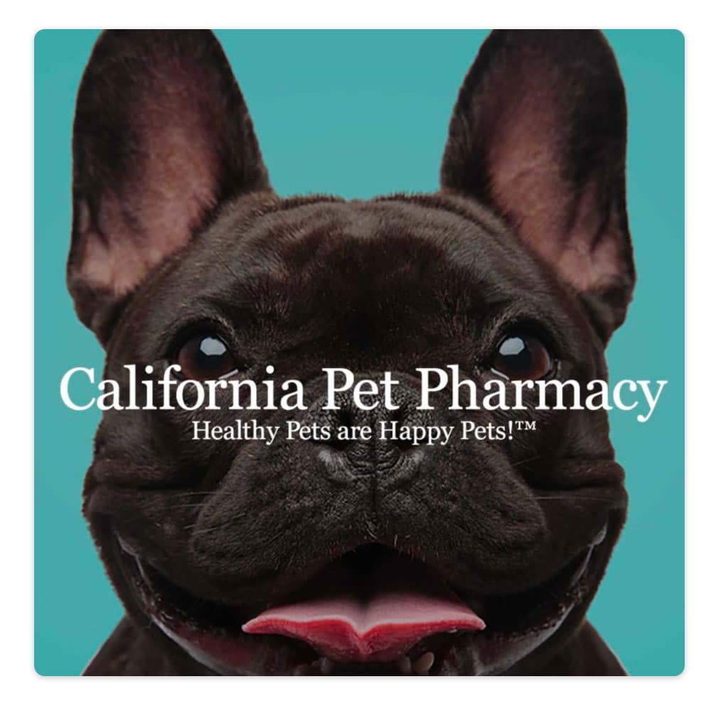 Online Pet Pharmacy Marketing Results