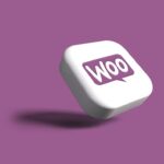 woocommerce plugin development