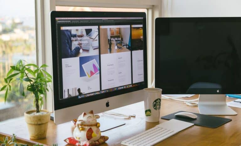graphic and brand design